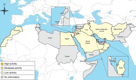 آخر المستجدات الشهرية للأنفلونزا، حزيران/يونيو 2017