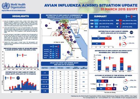 فيروس إنفلونزا الطيور (H5N1) في مصر، 31 أيار/مايو 2015