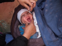 Millions of Afghan children reached in national polio immunization drive