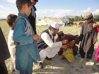 WHO and Ministry of Public Health launch polio vaccination campaign