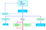 Organization of work flowchart, Djibouti