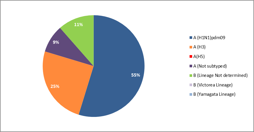 20181108_WHO_EMRO_WHE_IHM_Influenza_October_Fig_3_copy