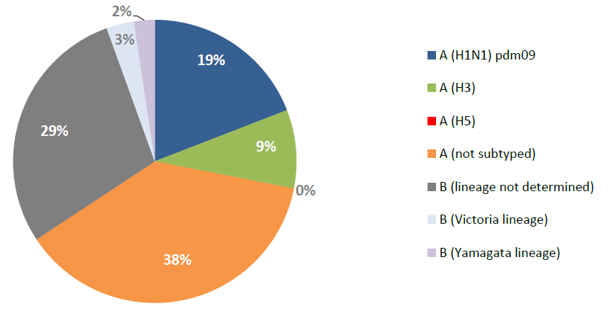 20190611_WHO_EMRO_WHE_IHM_Influenza_monthly_3