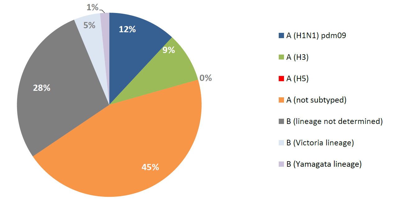 20190708_WHO_EMRO_WHE_IHM_Influenza_monthly_3