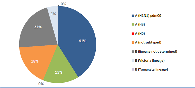 20190925_who_emro_whe_ihm_Influenza_monthly_3