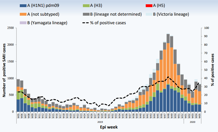 20200213_who_emro_whe_ihm_Influenza_monthly_2