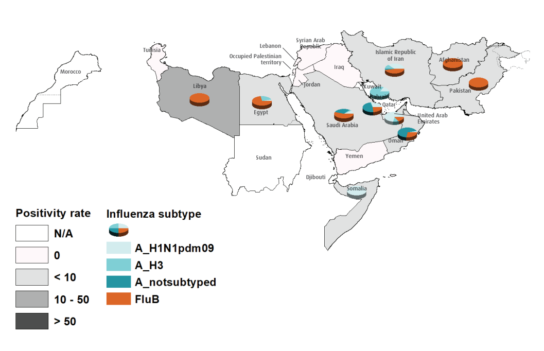 Influenza Bulletin June 2024