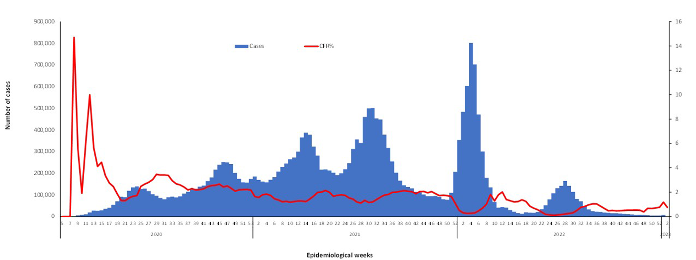 COVID-19-epidemiological-2-weeks-for-cases