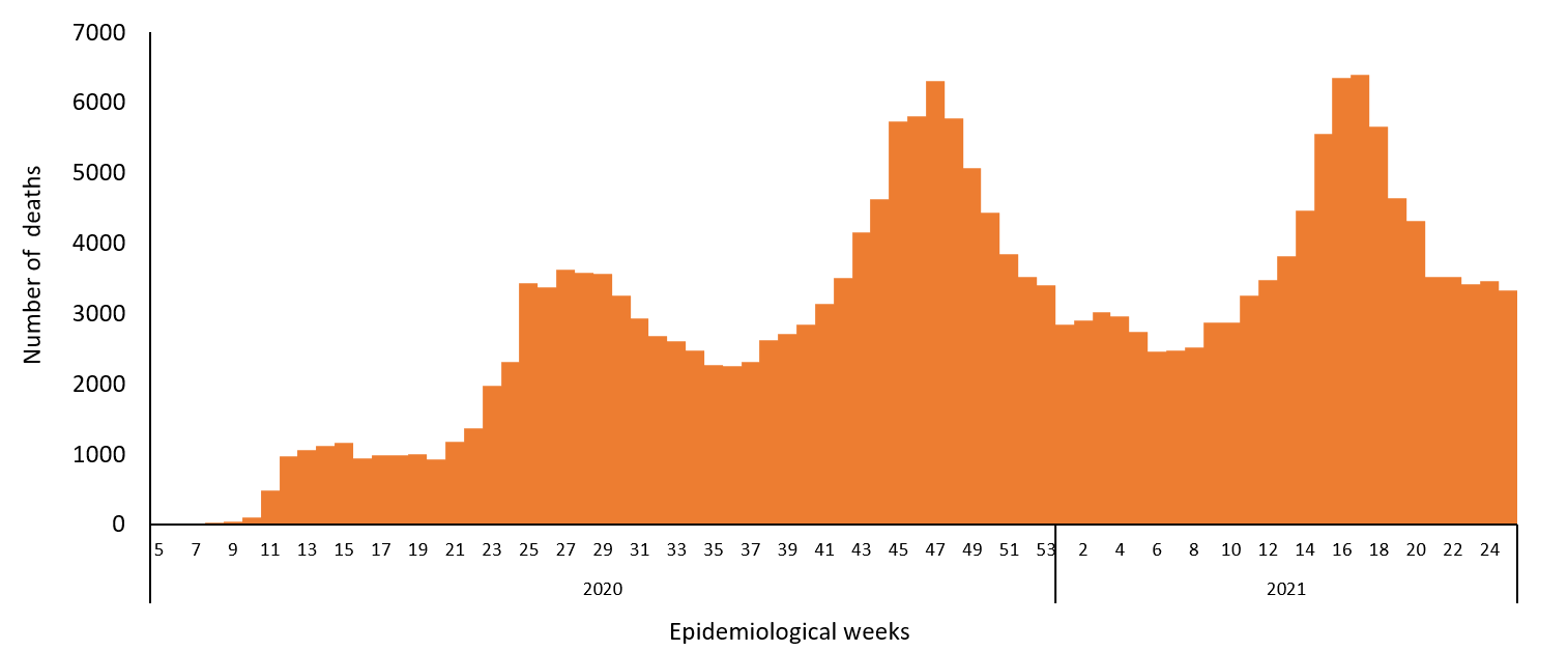 COVID-19 epidemiological weeks for deaths