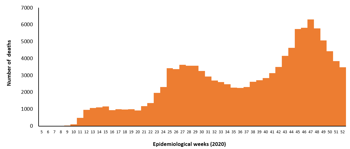 COVID-19 epidemiological weeks for deaths