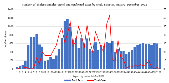 Fig. 9. Number of cholera samples tested and laboratory-confirmed cases by week, Pakistan, January–December 2022