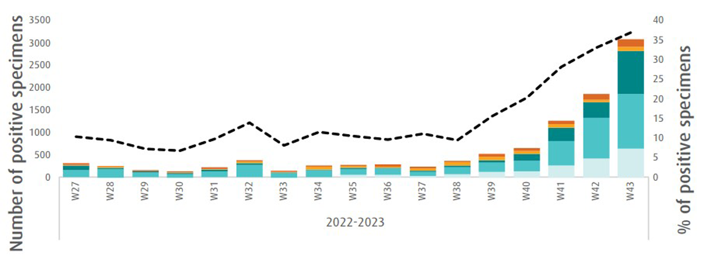 Weekly-influenza-update-week-43-2022