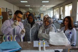 Regional training workshop held on Zika virus diagnostics