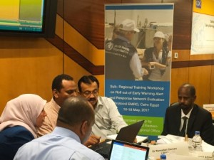 WHO conducts EWARN evaluation protocol training workshop in Cairo