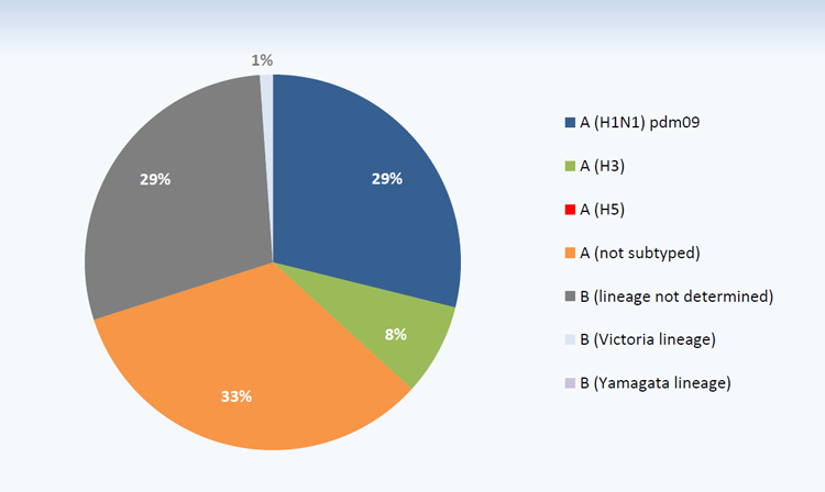 Circulating influenza viruses by sub-type