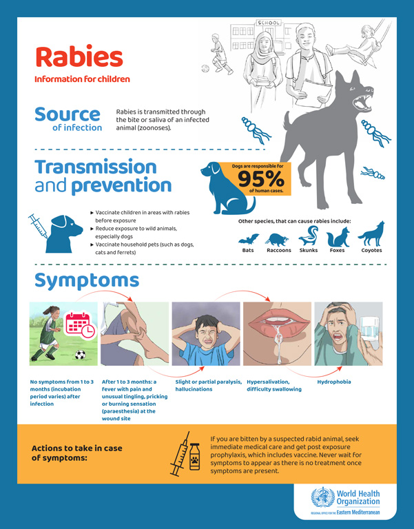 Rabies posters