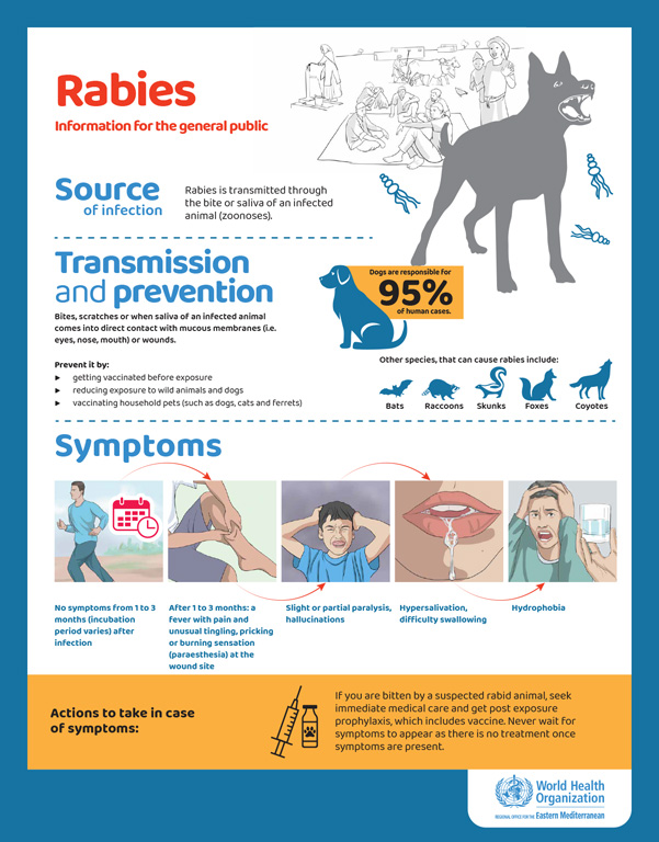 Rabies posters