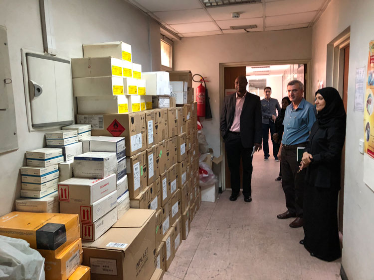 Strengthening Iraq’s influenza surveillance system