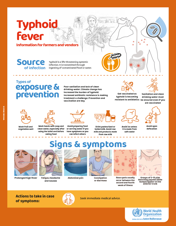 Typhoid posters