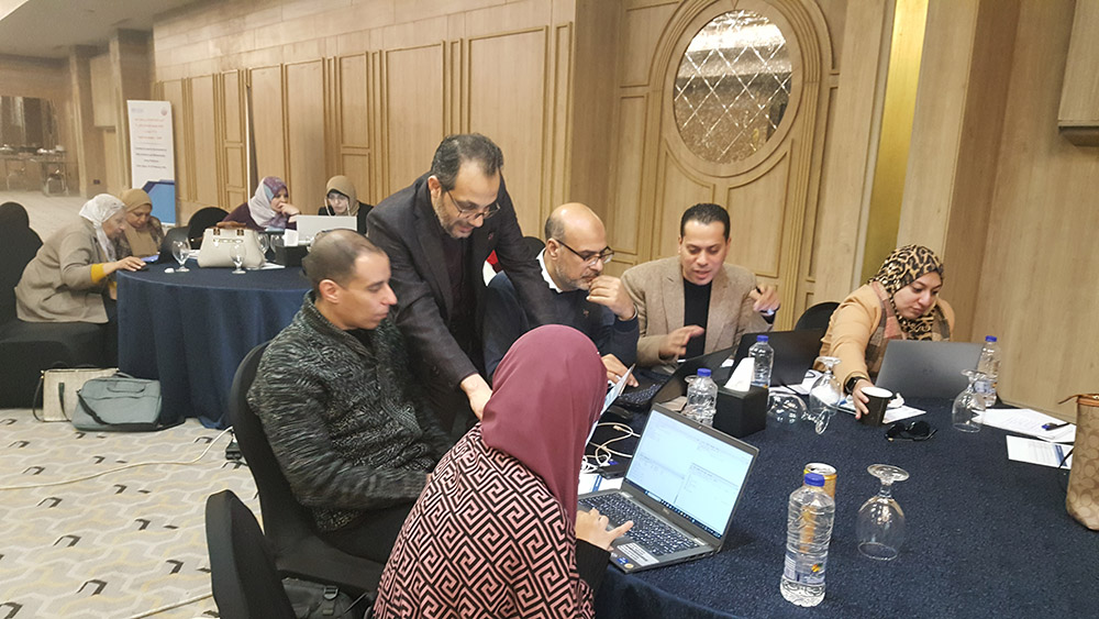 WHO builds Egypt’s capacities to manage and analyse health data