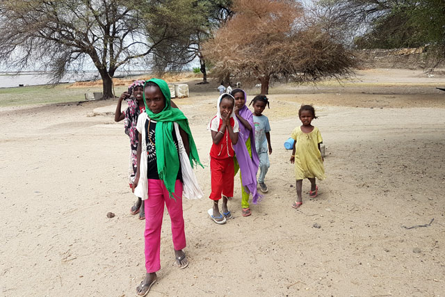 Almost 420 000 South Sudanese refugees are currently hosted in Sudan, of whom almost 140 000 arrived in 2017. In May 2017 alone, Sudan received almost 2000 new arrivals from South Sudan every day. The majority of refugees have settled in camps in White Nile State, while others are in East Darfur State and West/South/North Kordofan states.