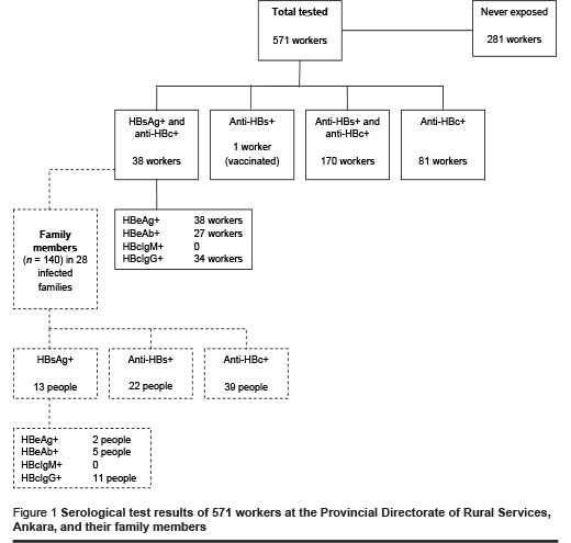 Figure 1 Serological test results of 571 workers at the Provincial Directorate of Rural Services, Ankara, and their family members