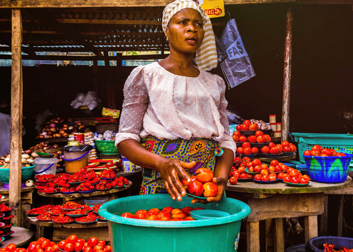 Burden of food borne diseases