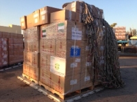 Urgently needed health supplies arrive in Gaza