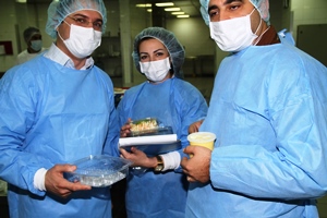 WHO trains public health inspectors on food safety