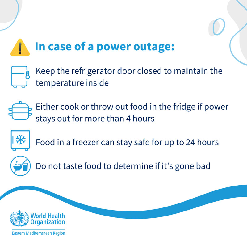 Unsafe food makes 100 million people ill each year in the Region