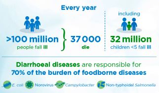 WHO estimates global burden of foodborne diseases