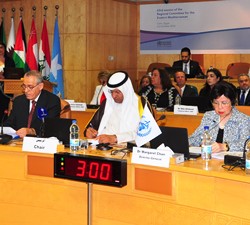 Regional Committee discusses public health achievements