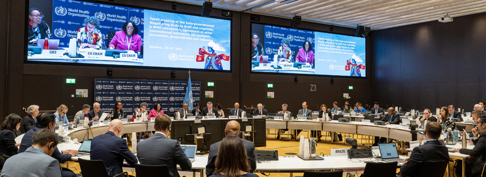 Updates on the work of the Intergovernmental Negotiating Body