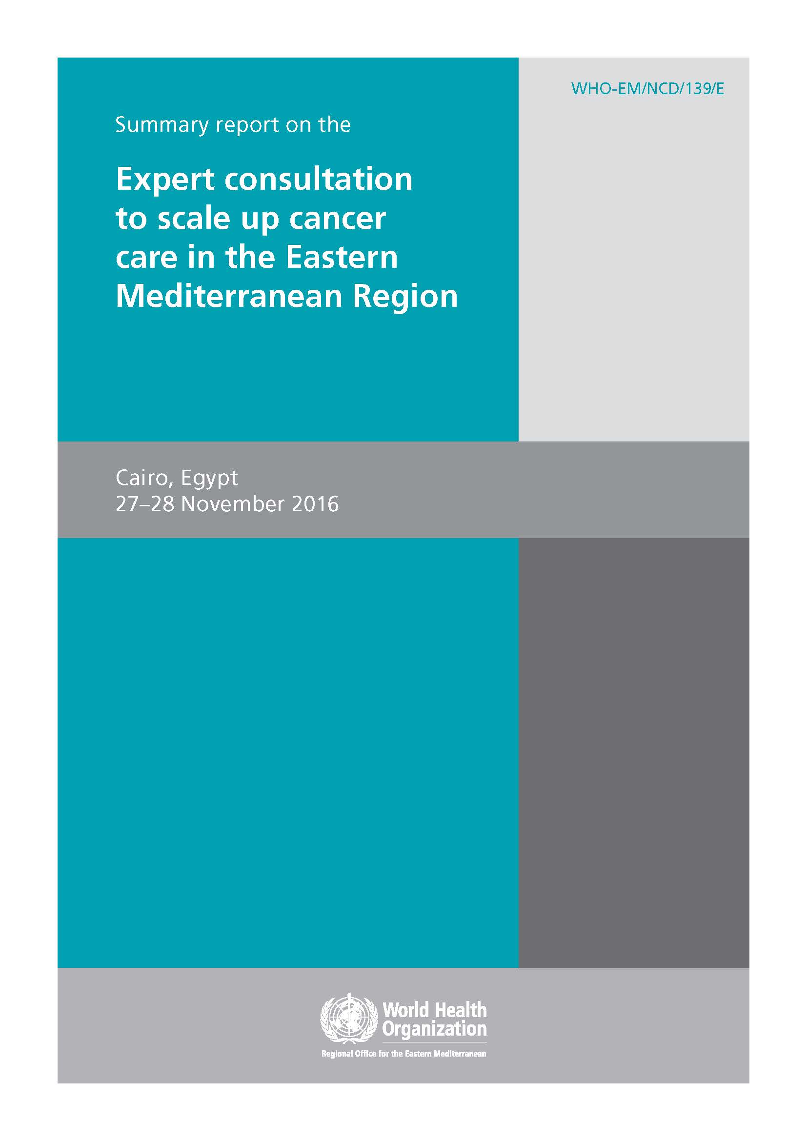 Summary report cancer care expert consultation