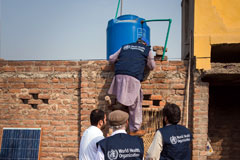 Every corner of a house suspected as a breeding site is checked by the campaign team