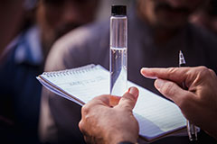 A specimen tube containing dengue-infected larvae of Aedes aegypti mosquitoes