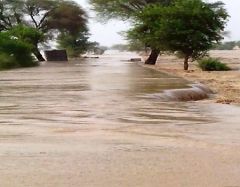 A road in Rajanpur, Punjab, buried beneath the flood water looks like a river.