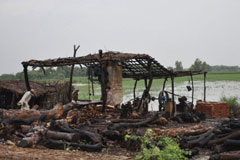 Crops are destroyed by flood water in 2011 in Badin, Sindh