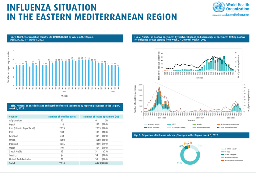 Influenza monthly updates