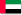 UAE flag