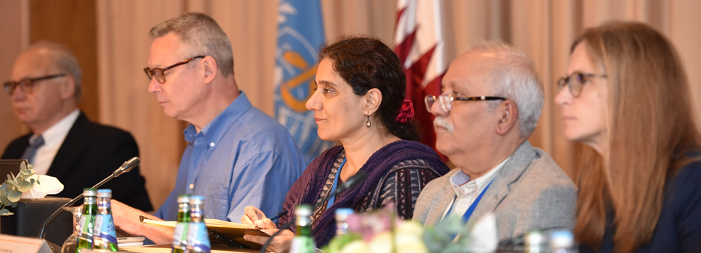 Members of the Technical Advisory Group deliberate on the necessary actions to end transmission of wild poliovirus in Afghanistan and Pakistan during discussions in Doha