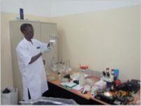 Laboratory technician holding an agar of a sample collected for further analysis