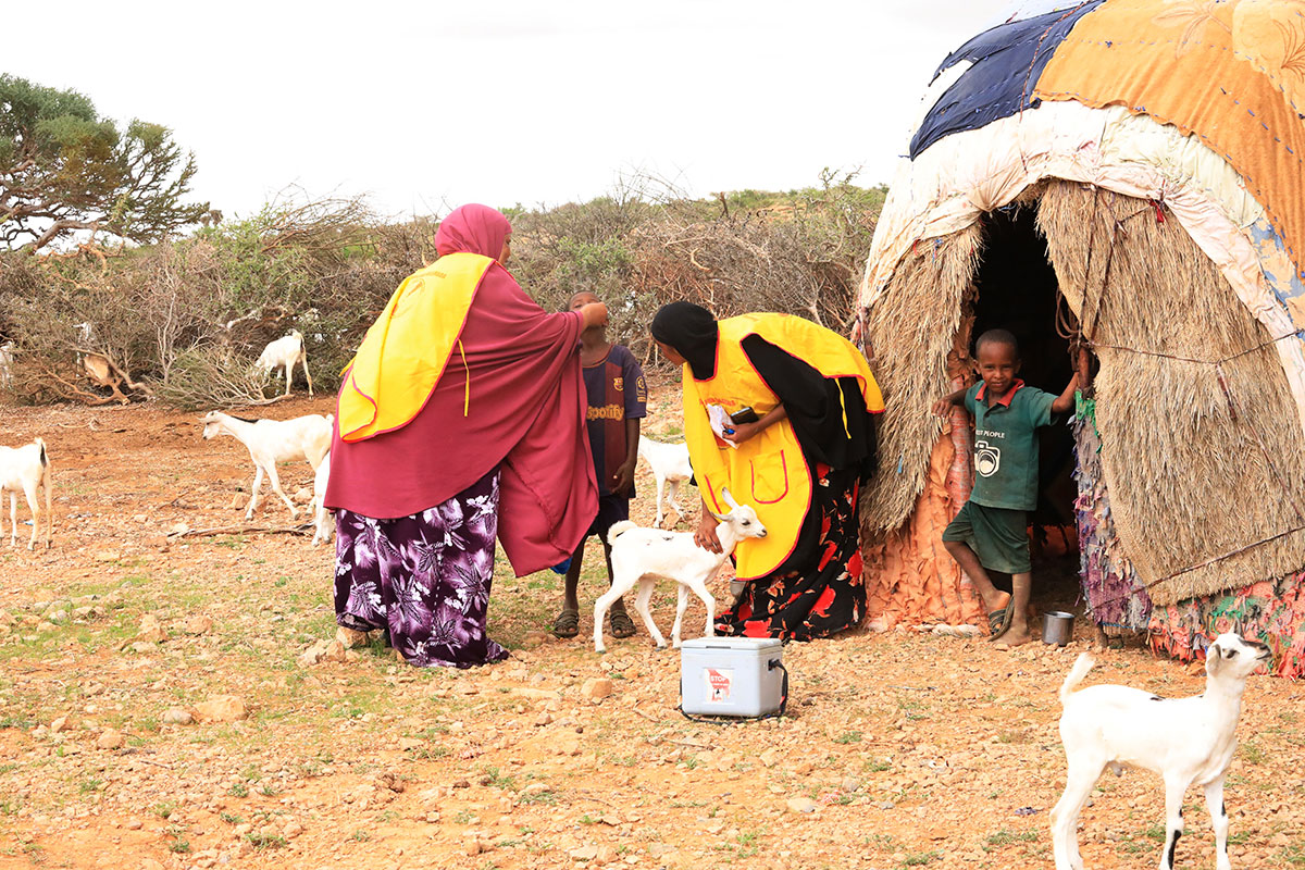 A health worker vaccinates a child from a nomadic family, Puntland. WHO/WHO Somalia