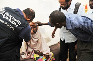 Yellow fever outbreak in Sudan update, 26 November 2012