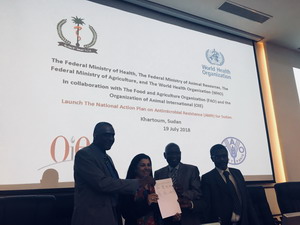 Ministry of Health of Sudan, with WHO and partners, launch AMR national action plan