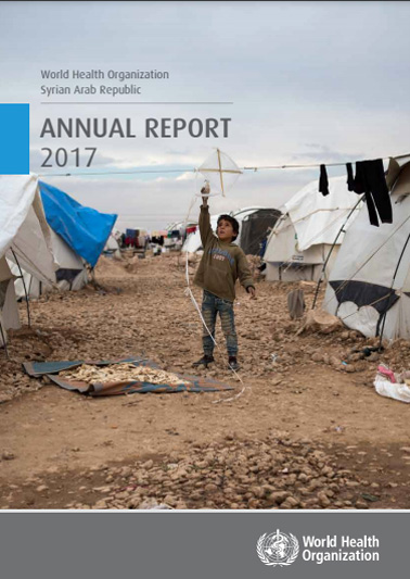 Annual report 2017