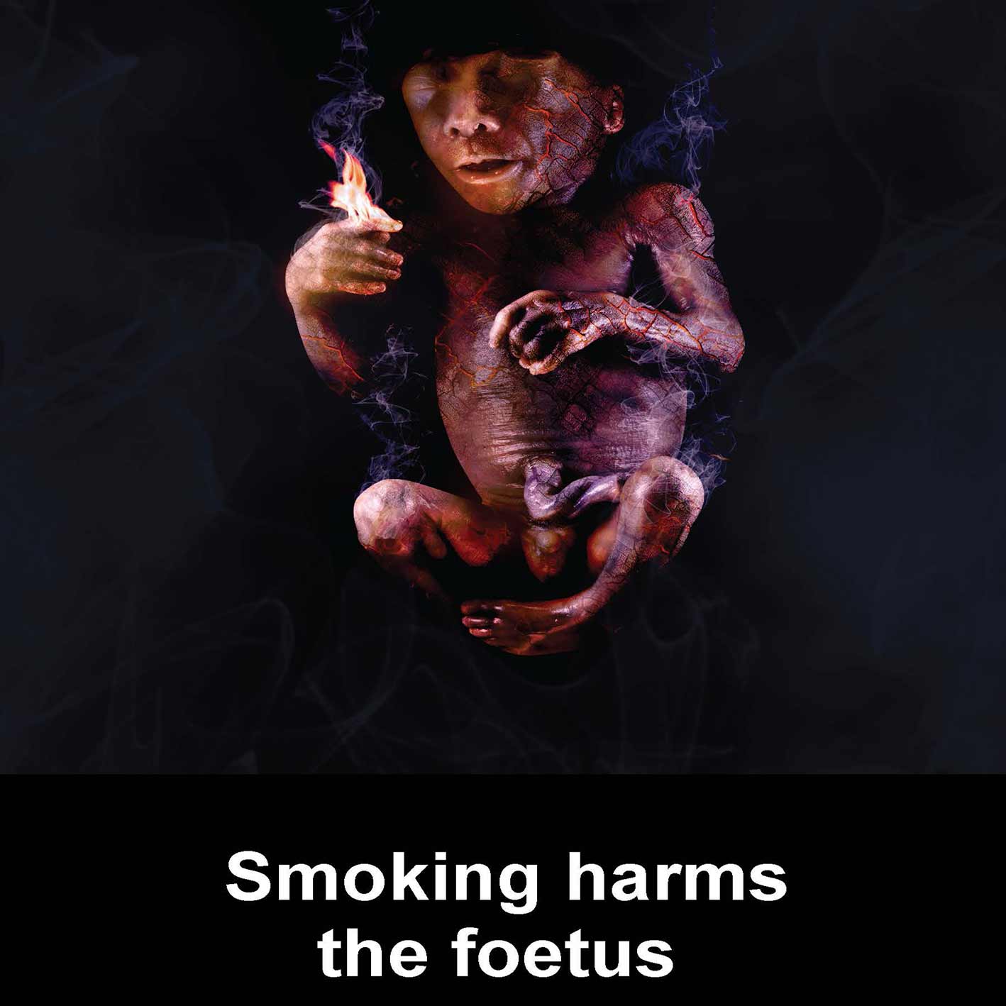 smoking-harms-the-foetus