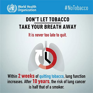 World No Tobacco Day 2019 - English infographic