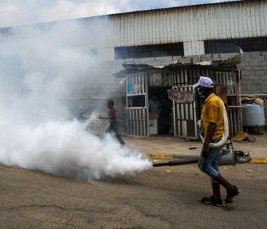 Dengue fever control campaign in Aden