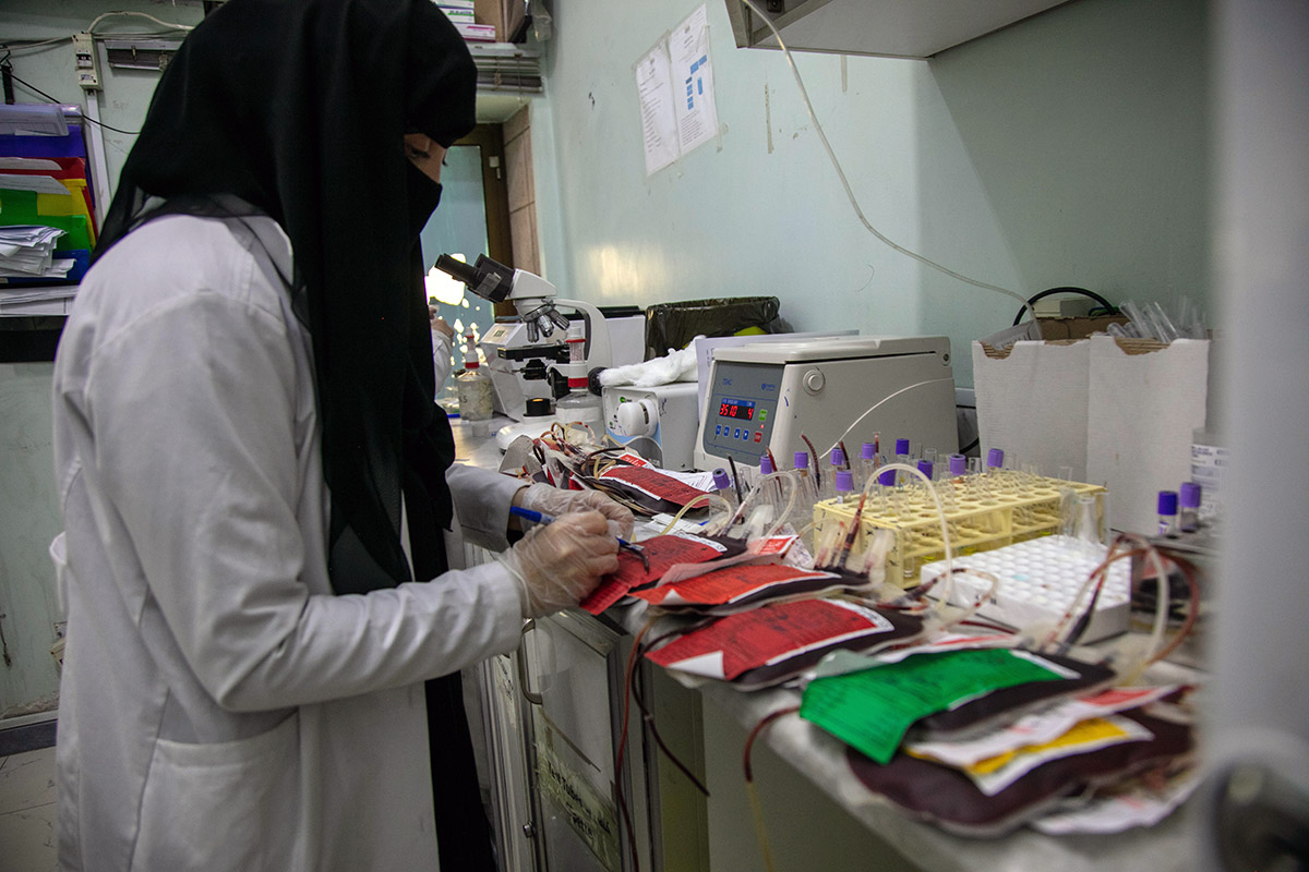 A new system of possibilities: digitalizing blood bank information in Yemen